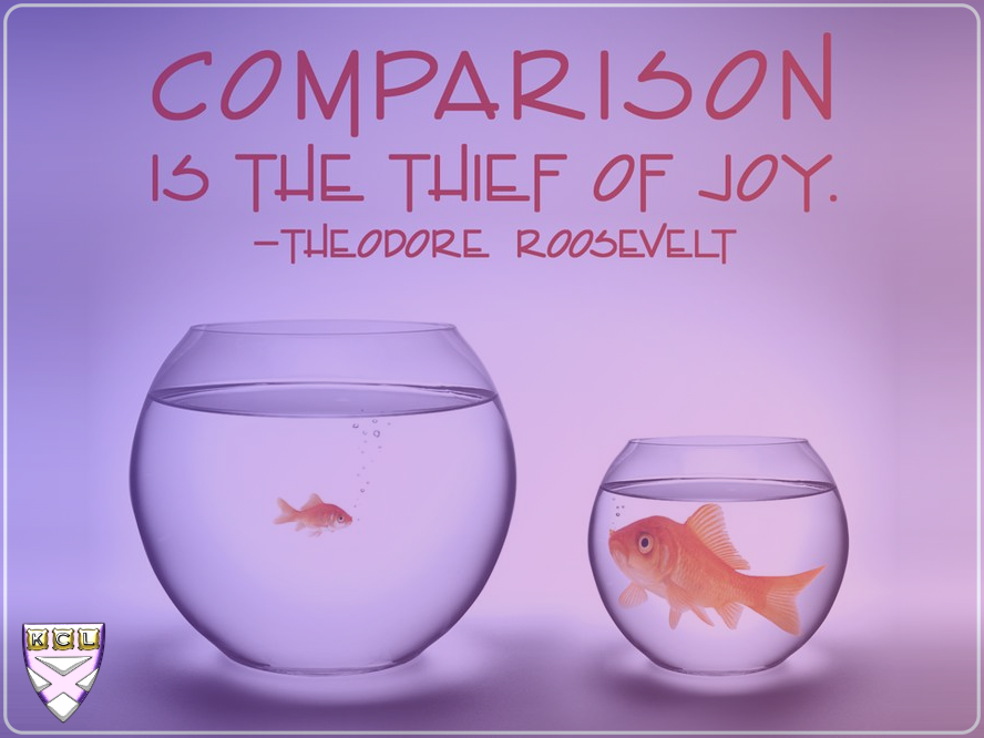 Kirkpatrick Consult Limited - Comparison is the thief of joy
